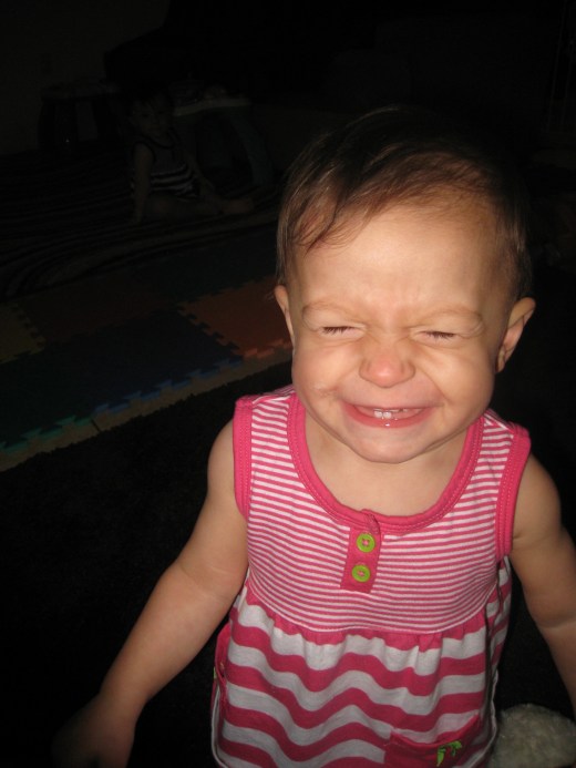 Yes, Sam I am... I am a Ham.